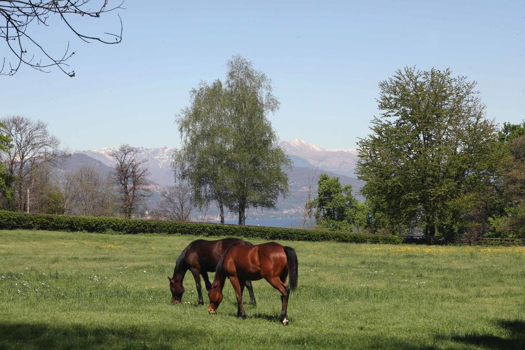 La Cucchetta Bed & Breakfast